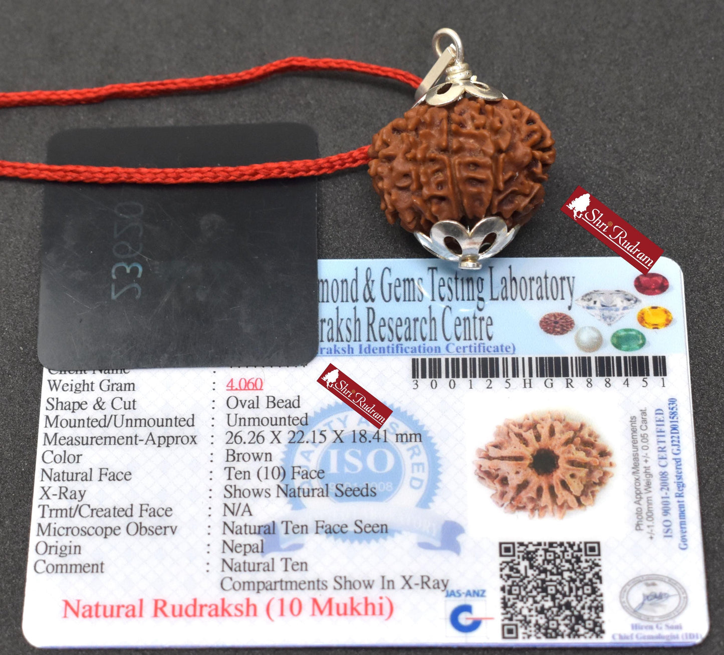 ShriRudram 10 Mukhi Rudraksha / Ten Face Rudraksh Nepal Bead Lab Certified 26.26 MM