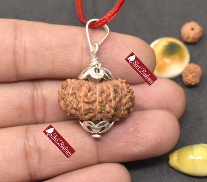 ShriRudram 12 Mukhi Rudraksha / Twelve Face Rudraksh Java Bead Lab Certified 25.01 MM