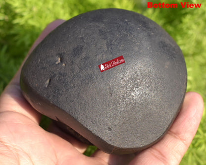 ShriRudram Rare Brown Narsimha Shaligram Four Chakra Saligram Stone Gandaki Nepal,  Pooja Item, Vishnu Puja Religious Gifts NS318