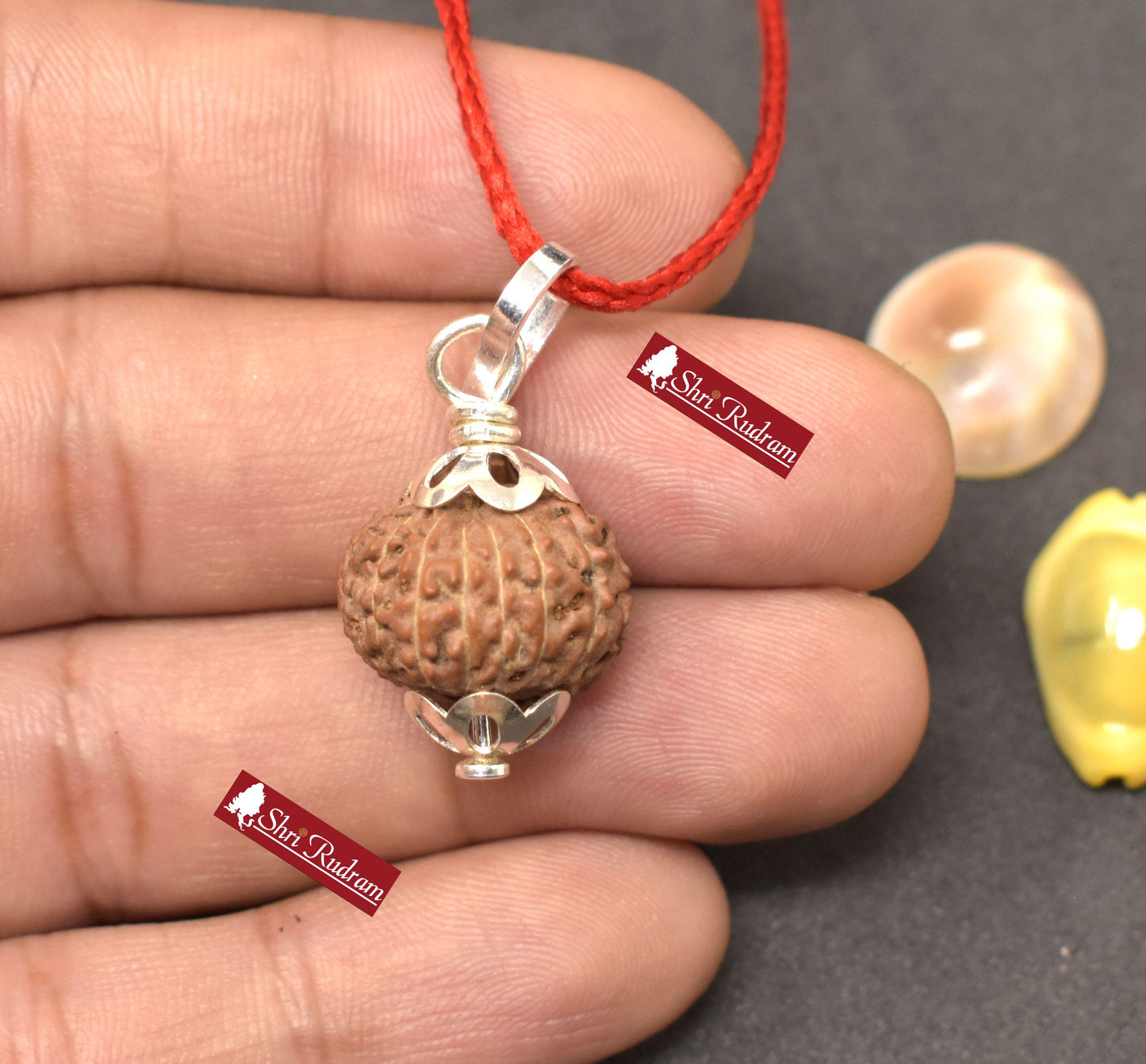 ShriRudram 14 Mukhi Rudraksha Fourteen Face Rudraksh Java Bead Pendant Yoga Jewelry Lab Certified 15.67 MM