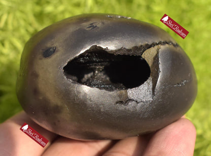 ShriRudram BalaRama Shaligram Bala Ram Saligram Stone Gandaki River Religious Gifts BRS214