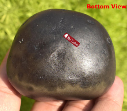 ShriRudram BalaRama Shaligram Bala Ram Saligram Stone Gandaki River Religious Gifts BRS214