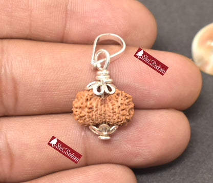 ShriRudram 18 MUkhi Rudraksha / Eighteen Face Rudraksh Java Bead Lab Certified 15.72 MM