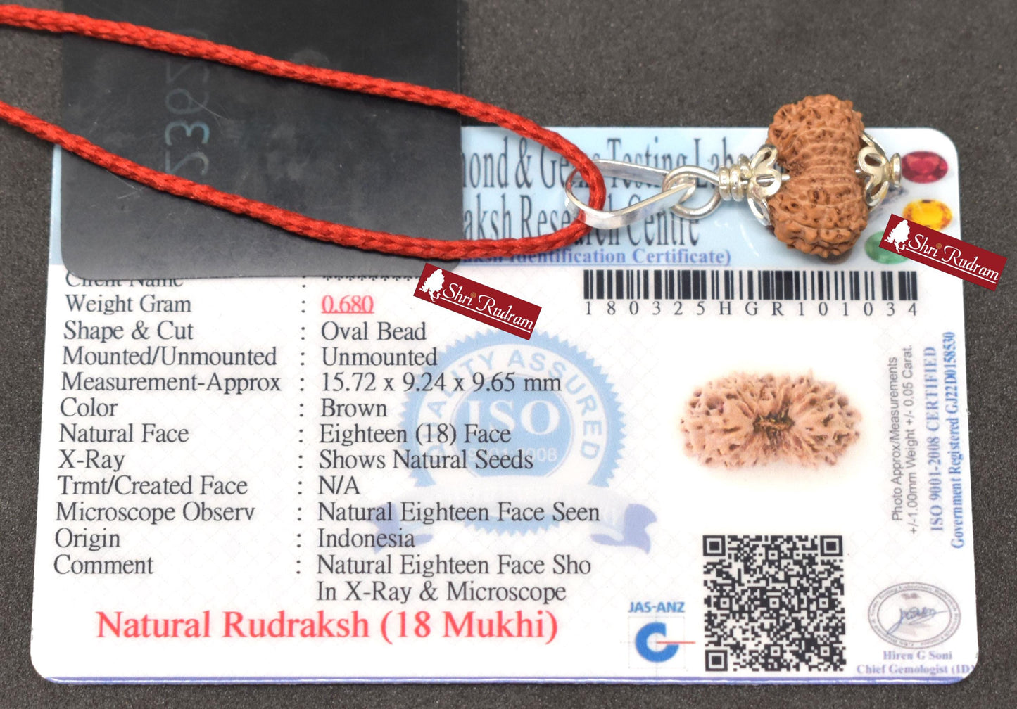 ShriRudram 18 MUkhi Rudraksha / Eighteen Face Rudraksh Java Bead Lab Certified 15.72 MM