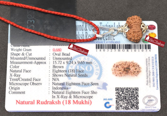ShriRudram 18 MUkhi Rudraksha / Eighteen Face Rudraksh Java Bead Lab Certified 15.72 MM