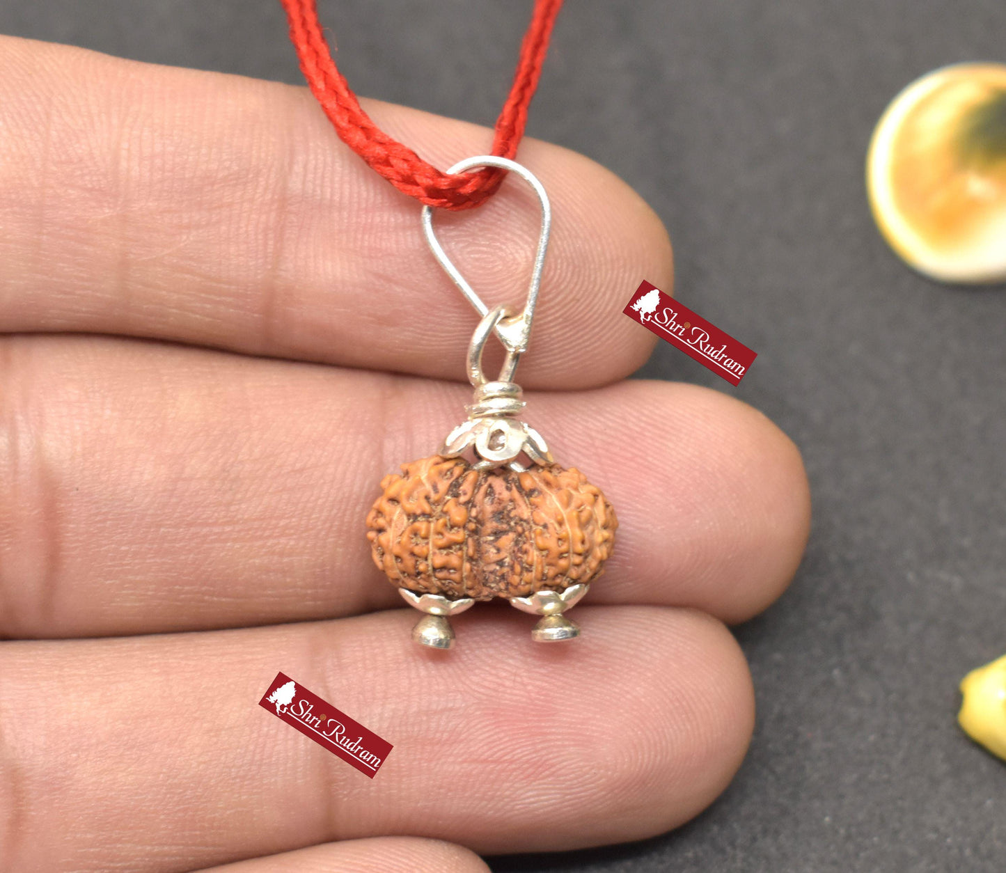 ShriRudram 15 Mukhi Gauri Shankar Rudraksha Gouri Sankar Rudraksh Java Bead Lab Certified 15.60 MM