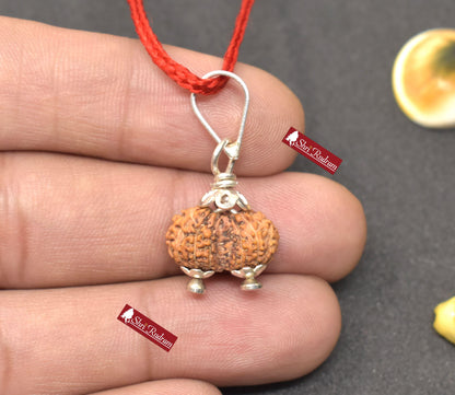 ShriRudram 15 Mukhi Gauri Shankar Rudraksha Gouri Sankar Rudraksh Java Bead Lab Certified 15.60 MM