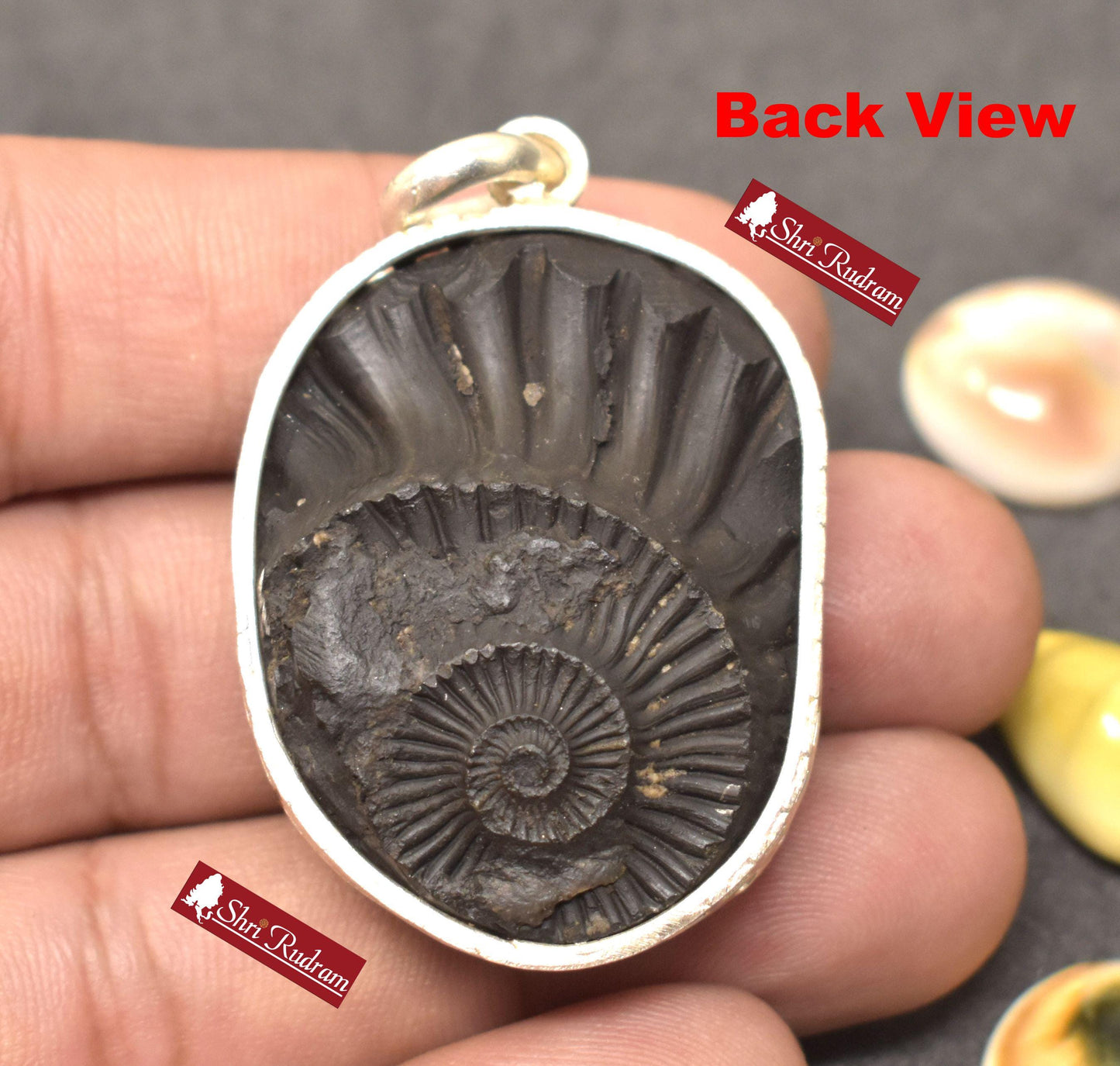 ShriRudram Narsimha Face / Narasimha Carved on Sudarshan Shaligram Locket Pendant Silver NNL265