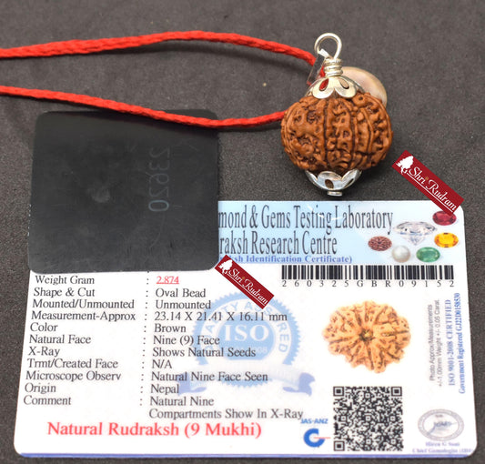 ShriRudram 9 Mukhi Rudraksha / NIne Face Rudraksh Nepal Bead Lab Certified Size 23.14 MM