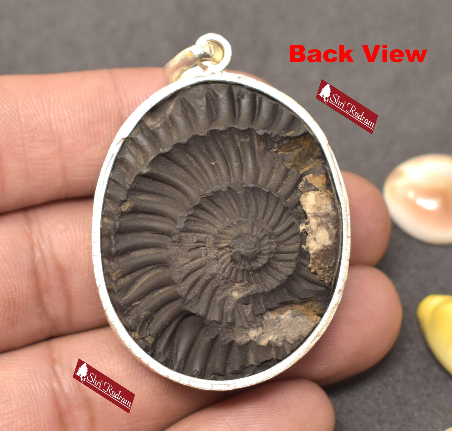 ShriRudram Venkateshwar Face / Tirupati Balaji Face Carved on Sudarshan Shaligram Locket Pendant Silver NNL31