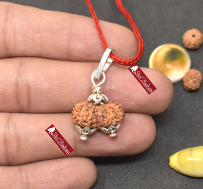 ShriRudram 13 Mukhi Gauri Shankar Rudraksha / Gouri Sankar Rudraksh Java  Bead Lab Certified 18.05 MM