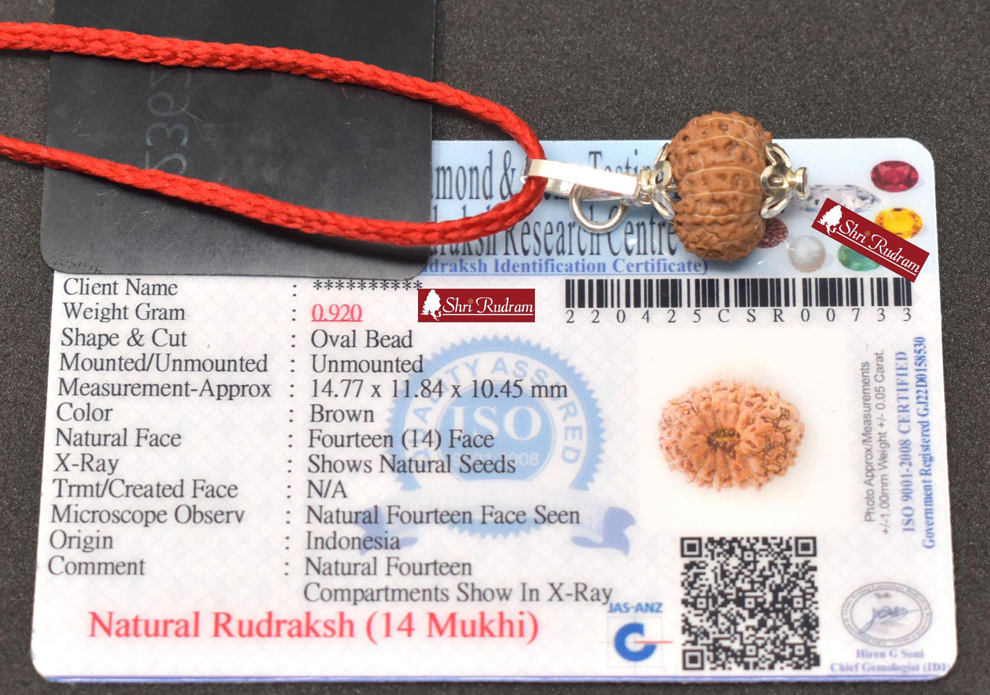 ShriRudram 14 MUkhi Rudraksha / Fourteen Face Rudraksh Java Bead Lab Certified 14.77 MM