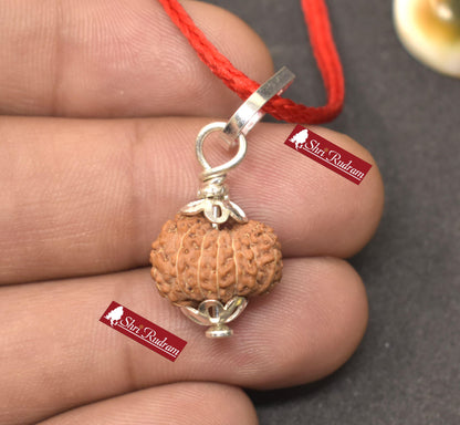 ShriRudram 14 MUkhi Rudraksha / Fourteen Face Rudraksh Java Bead Lab Certified 14.77 MM
