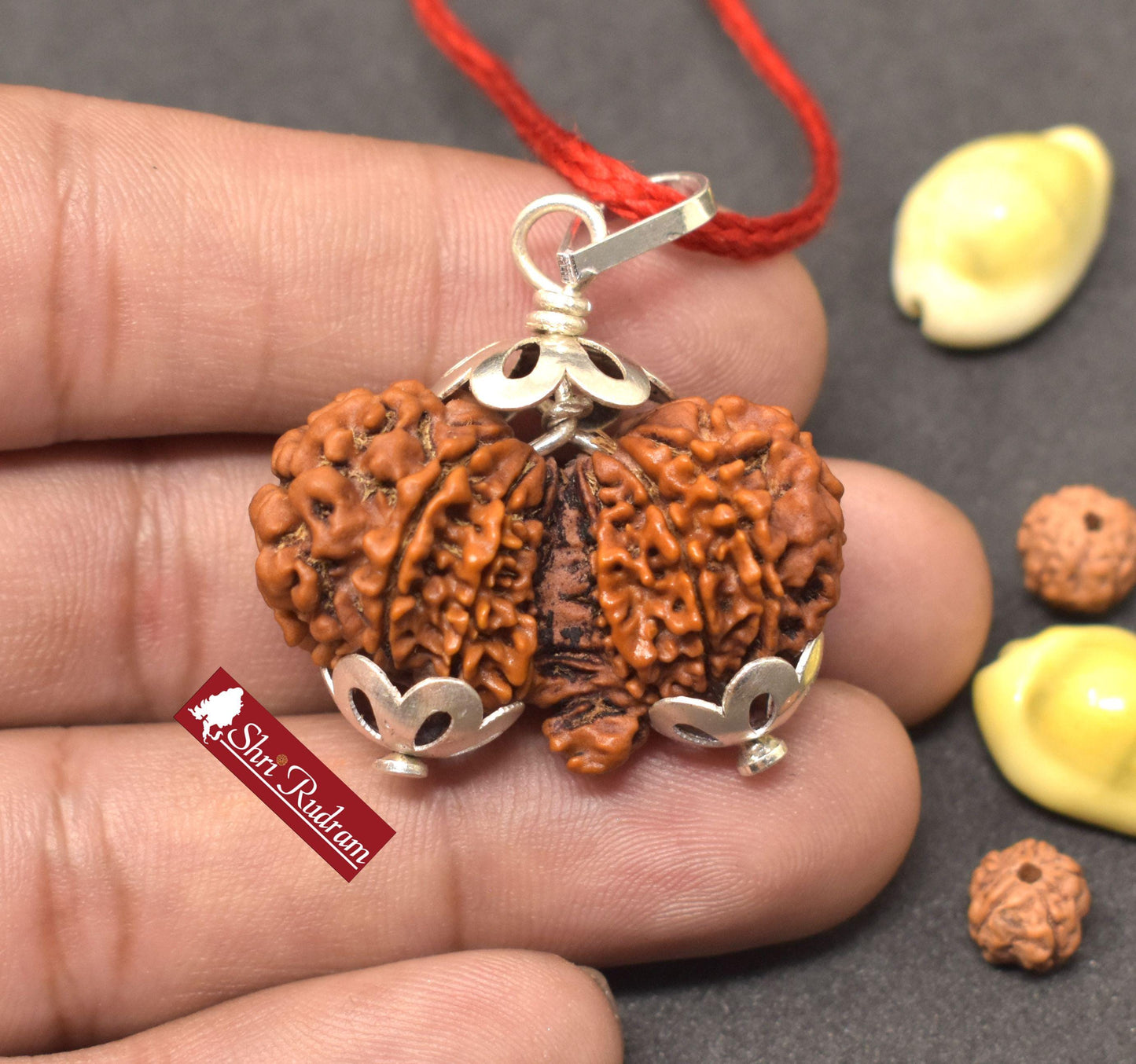 ShriRudram 15 Mukhi Gauri Shankar Ganesh Rudraksha Gouri Sankar Ganesha Rudraksh Nepal Bead Lab Certified 34.08  MM