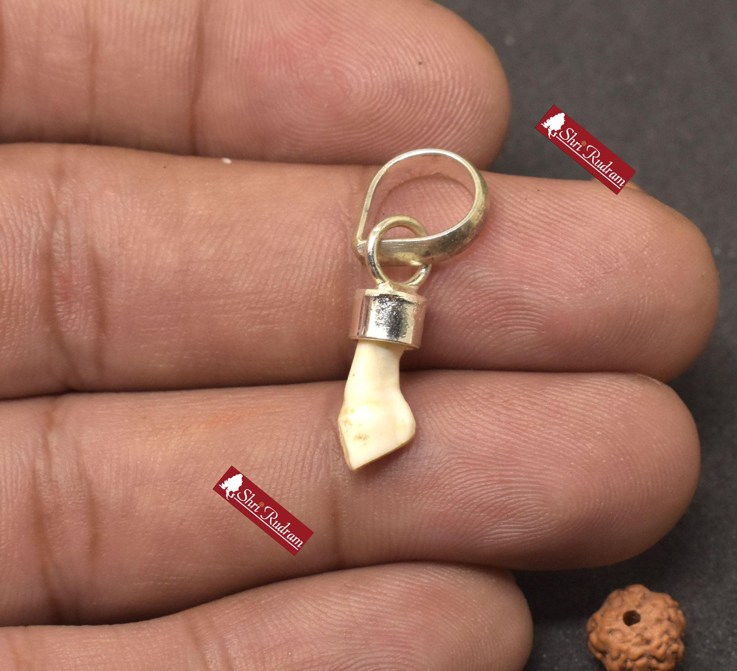 ShriRudram Natural Ketu Mani Stone Locket Pendant in Silver  Reduce and Remove Impact of Planet Ketu  Ketu Mukta Mani Lab Certified D25