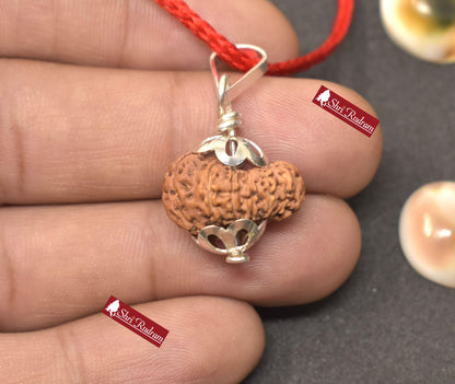 ShriRudram 14 Mukhi Rudraksha / Fourteen Face Rudraksh Java Bead Lab Certified 18.70 MM