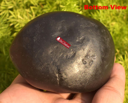 ShriRudram Golden Narsimha Shaligram, Big Size Saligram Stone - Gandaki Nepal, Ritual Object, Pooja Item, Vishnu Puja, Religious Gifts NS292