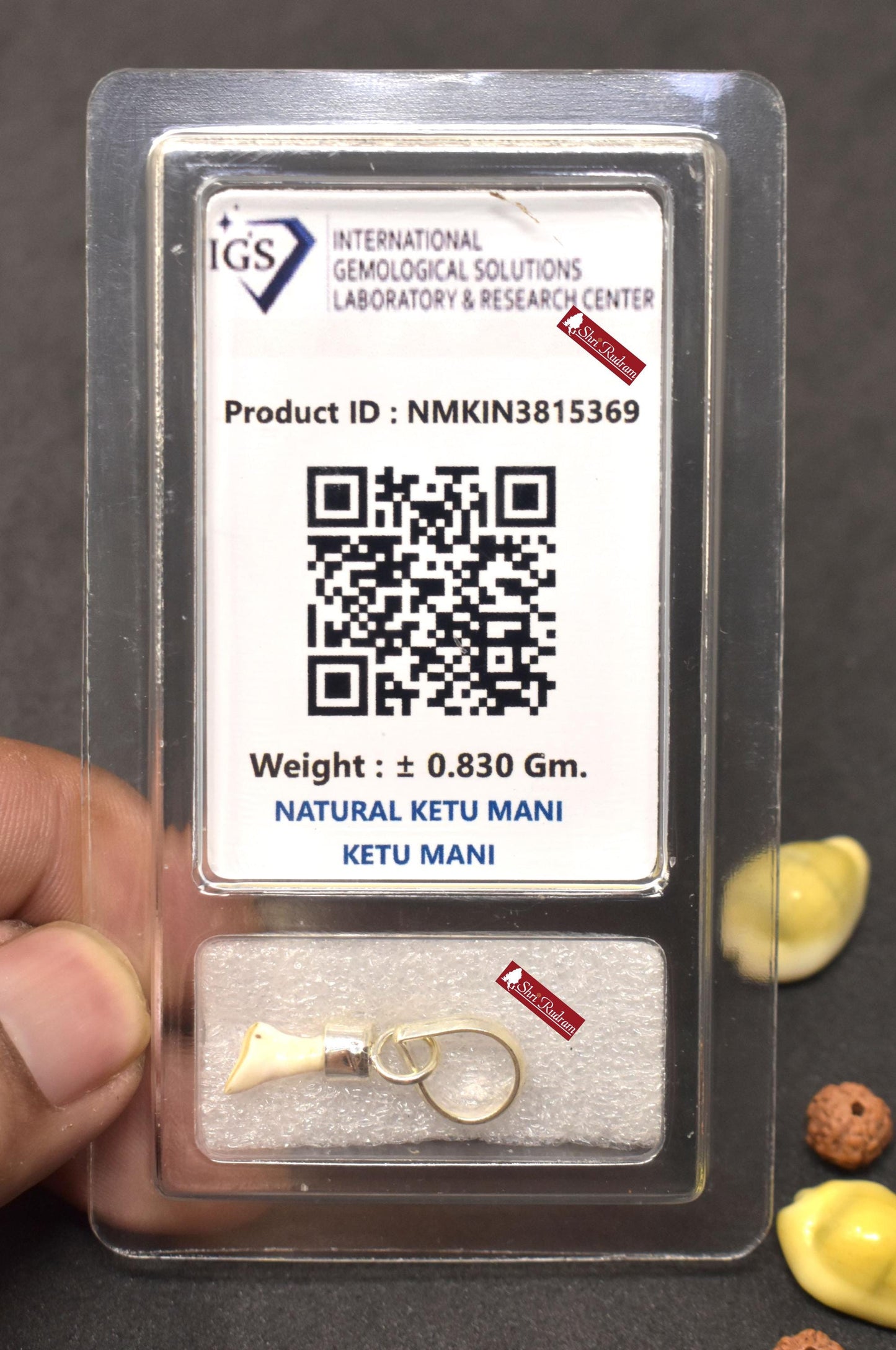 ShriRudram Natural Ketu Mani Stone Locket Pendant in Silver  Reduce and Remove Impact of Planet Ketu  Ketu Mukta Mani Lab Certified D69