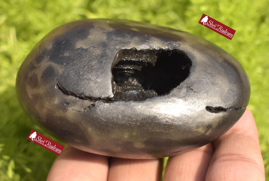 ShriRudram Narayan Shaligram , Narayana Stone Gandaki River , Religious Gifts , Ritual Object NLG400