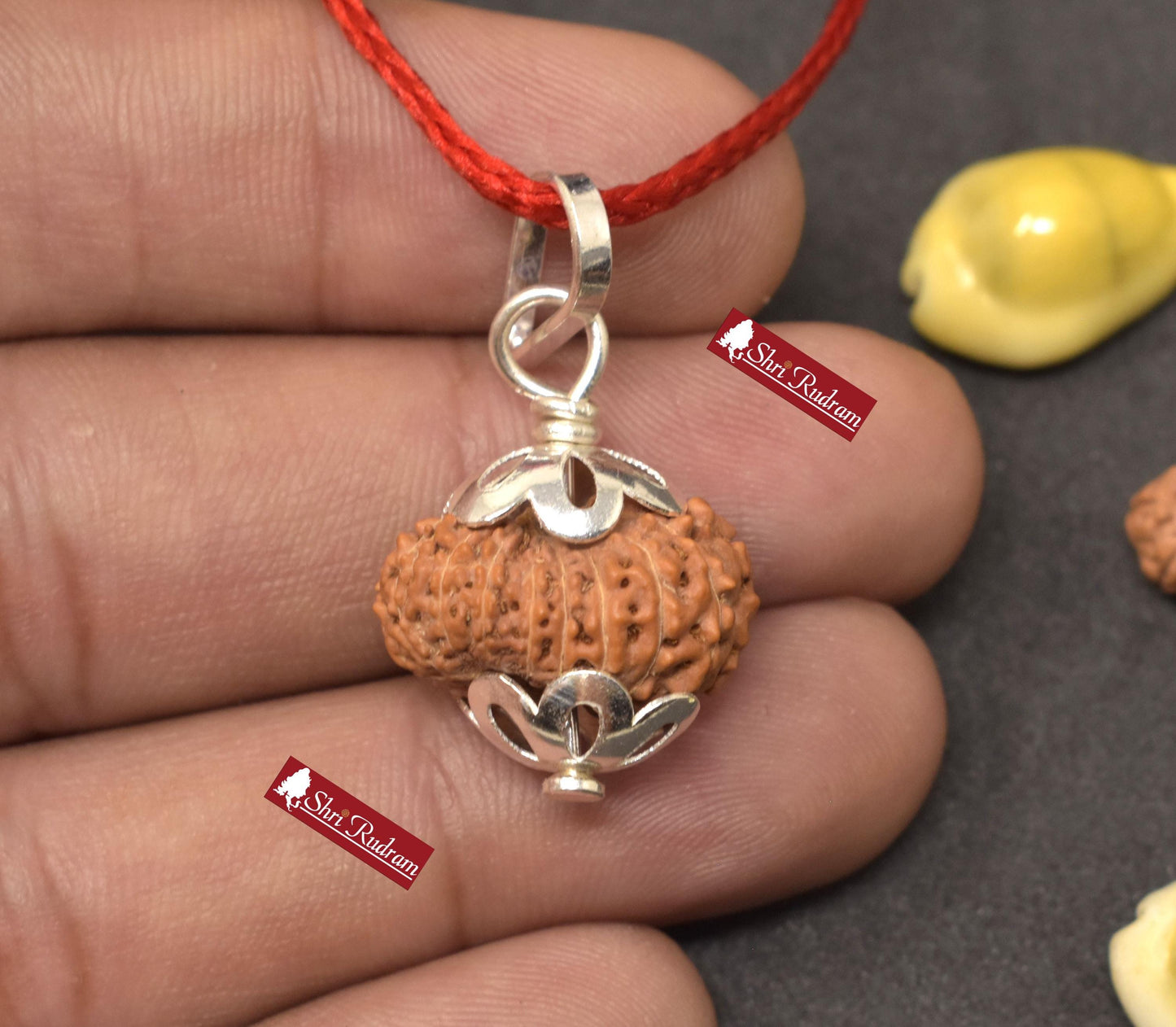 ShriRudram 16 Mukhi Rudraksha / Sixteen Face Rudraksh Java Bead Lab Certified 19.52 MM