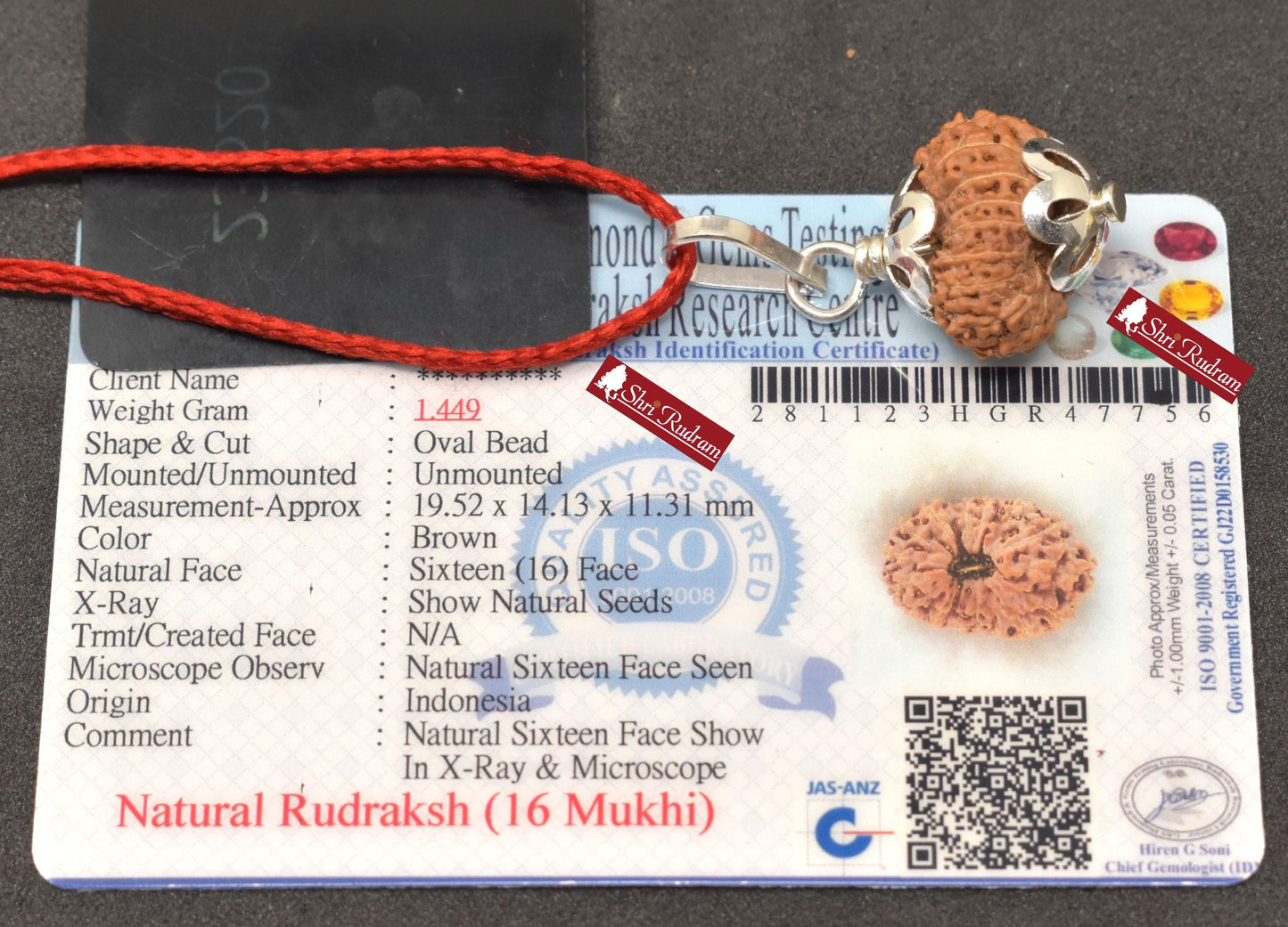 ShriRudram 16 Mukhi Rudraksha / Sixteen Face Rudraksh Java Bead Lab Certified 19.52 MM