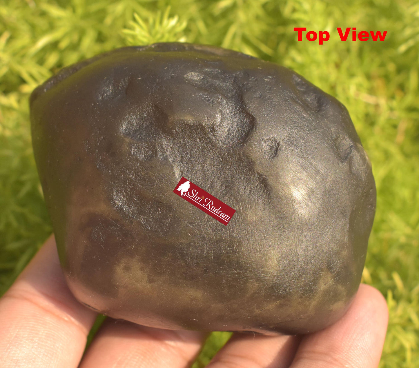 ShriRudram Parshuram Shaligram Parshurama Shaligram Shila Gandaki River Nepal PRS312
