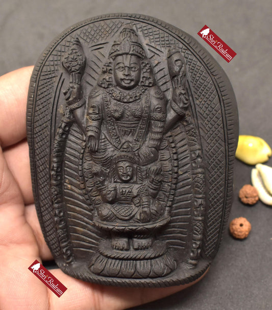 ShriRudram Venkateshwar Luxmi Murti Tirupati Balaji Laxmi Statue Idol Carved on Sudarshan Shaligram Nepal TS275