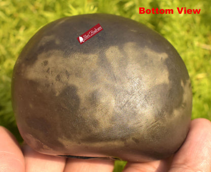 ShriRudram Krishna Shaligram / Krishan kanhaiya Saligram Stone Ritual Object Spiritual Item Gandaki Nepal KS282