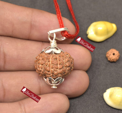 ShriRudram 11 Mukhi Rudraksha / Eleven Face Rudraksh Java Bead Lab Certified 20.52 MM