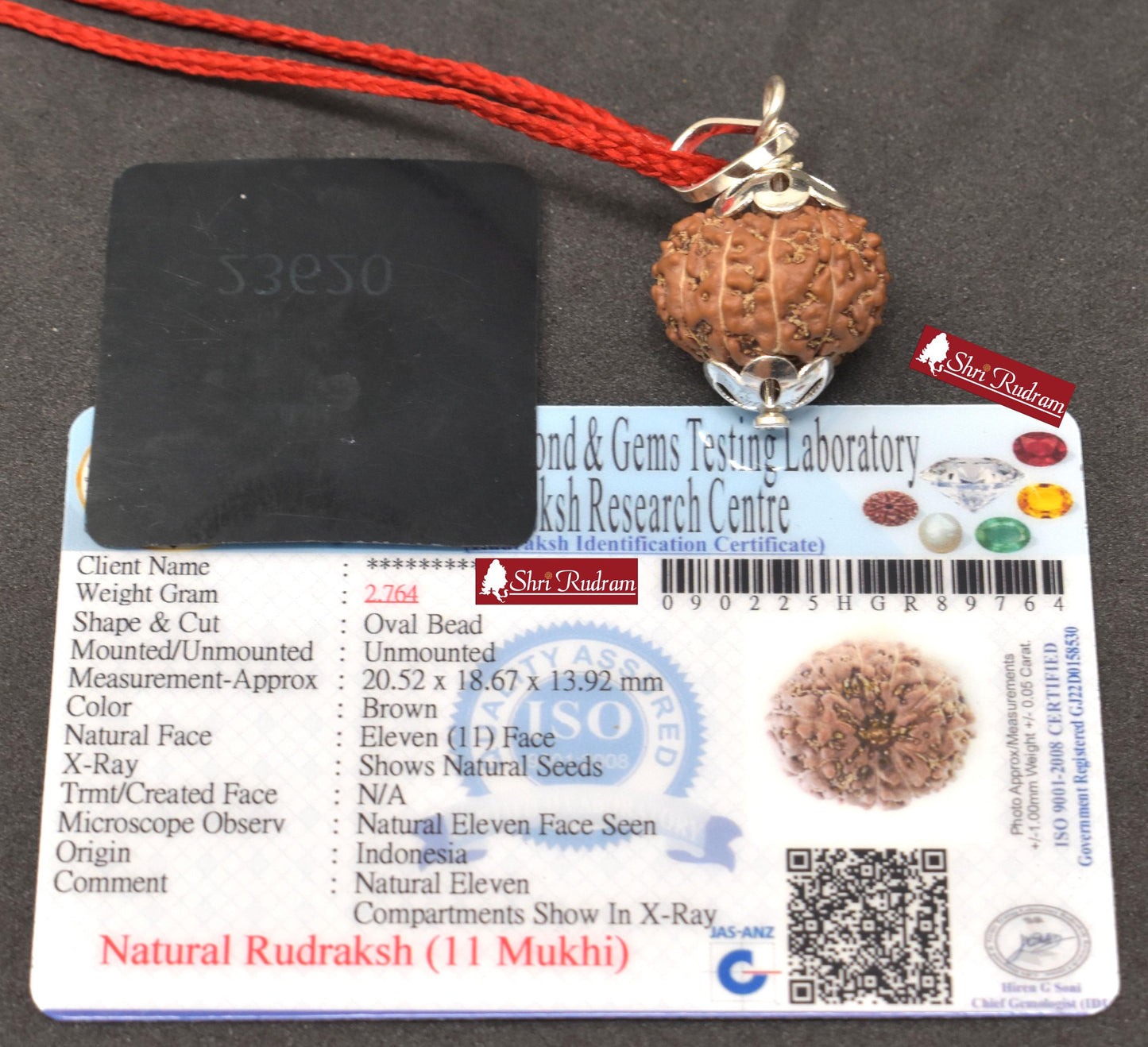 ShriRudram 11 Mukhi Rudraksha / Eleven Face Rudraksh Java Bead Lab Certified 20.52 MM