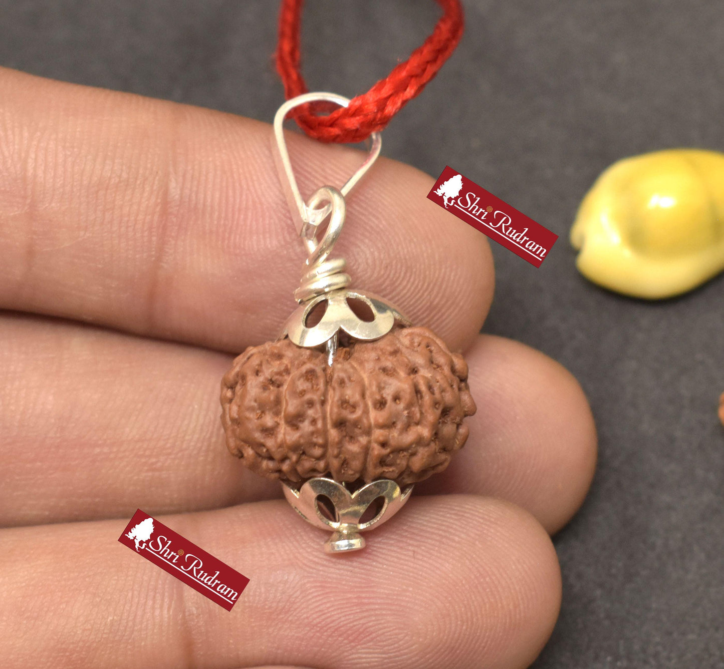 ShriRudram 11 Mukhi Rudraksha / Eleven Face Rudraksh Java Bead Lab Certified 19.02 MM