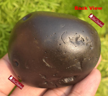 ShriRudram Sita Ram Shaligram Seeta Rama Saligram Stone Gandaki River , Religious Gifts SRS202