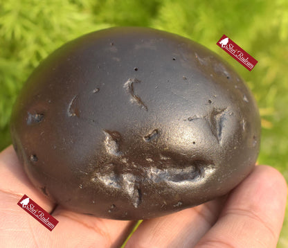 ShriRudram Sita Ram Shaligram Seeta Rama Saligram Stone Gandaki River , Religious Gifts SRS202