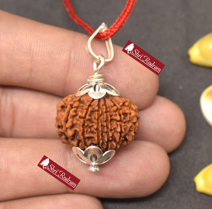 ShriRudram 13 Mukhi Rudraksha / Thirteen Face Rudraksh Nepal Bead Lab Certified 22.75 MM
