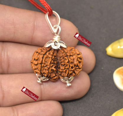 ShriRudram Gauri Shankar Rudraksha / Gouri Sankar Rudraksh Nepal Bead Lab Certified 27.18 MM