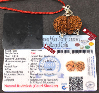 ShriRudram Gauri Shankar Rudraksha / Gouri Sankar Rudraksh Nepal Bead Lab Certified 27.18 MM