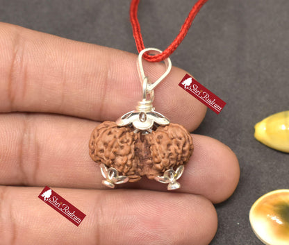 ShriRudram 14 Mukhi Gauri Shankar Rudraksha / Gouri Sankar Rudraksh Java Bead Lab Certified 24.01 MM