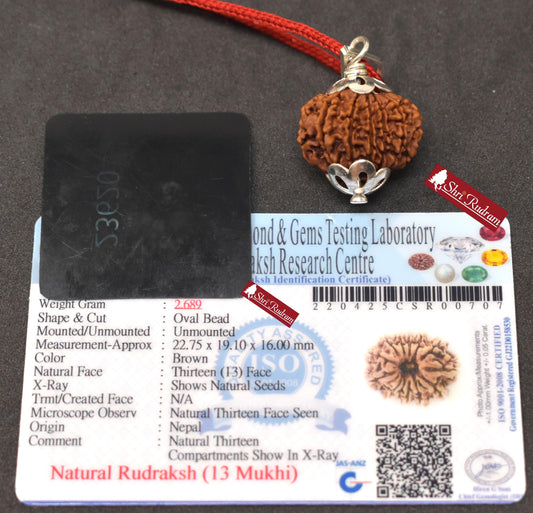 ShriRudram 13 Mukhi Rudraksha / Thirteen Face Rudraksh Nepal Bead Lab Certified 22.75 MM