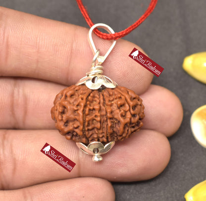 ShriRudram 12 Mukhi Rudraksha / Twelve Face Rudraksh Nepal Bead Lab Certified 27.51 MM