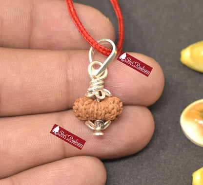 ShriRudram 17 MUkhi Rudraksha / Seventeen Face Rudraksh Java Bead Lab Certified 14.14 MM
