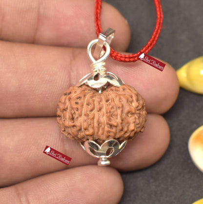 ShriRudram 13 MUkhi Rudraksha / Thirteen Face Rudraksh Java Bead Lab Certified 21.86 MM