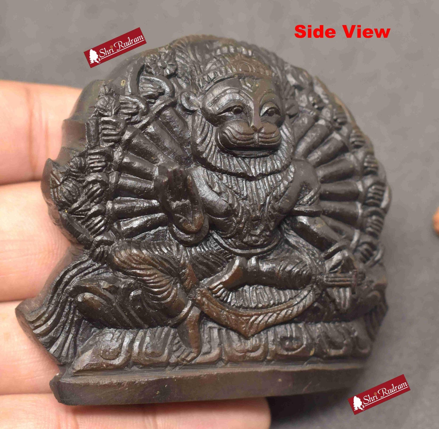 ShriRudram Yoga Narsimha Murti / Narasimha Murti Carved on Sudarshan Shaligram YN180