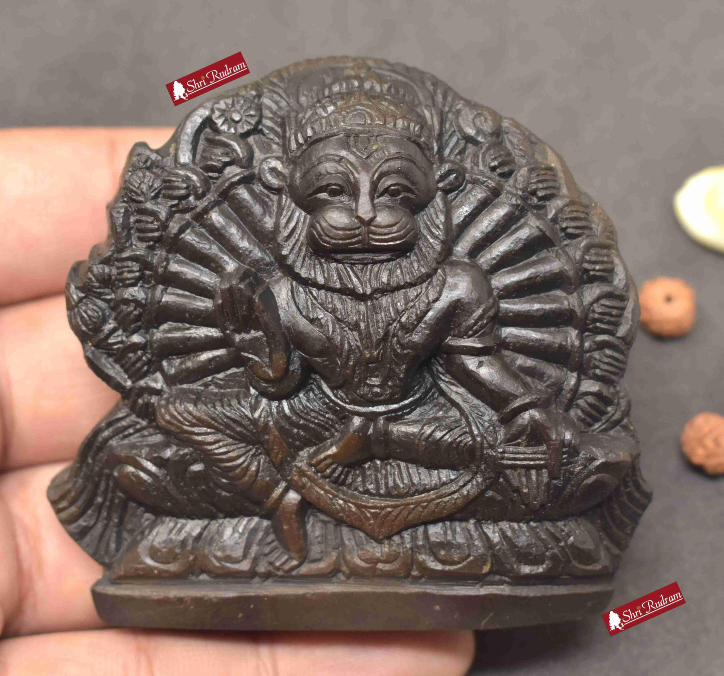 ShriRudram Yoga Narsimha Murti / Narasimha Murti Carved on Sudarshan Shaligram YN180