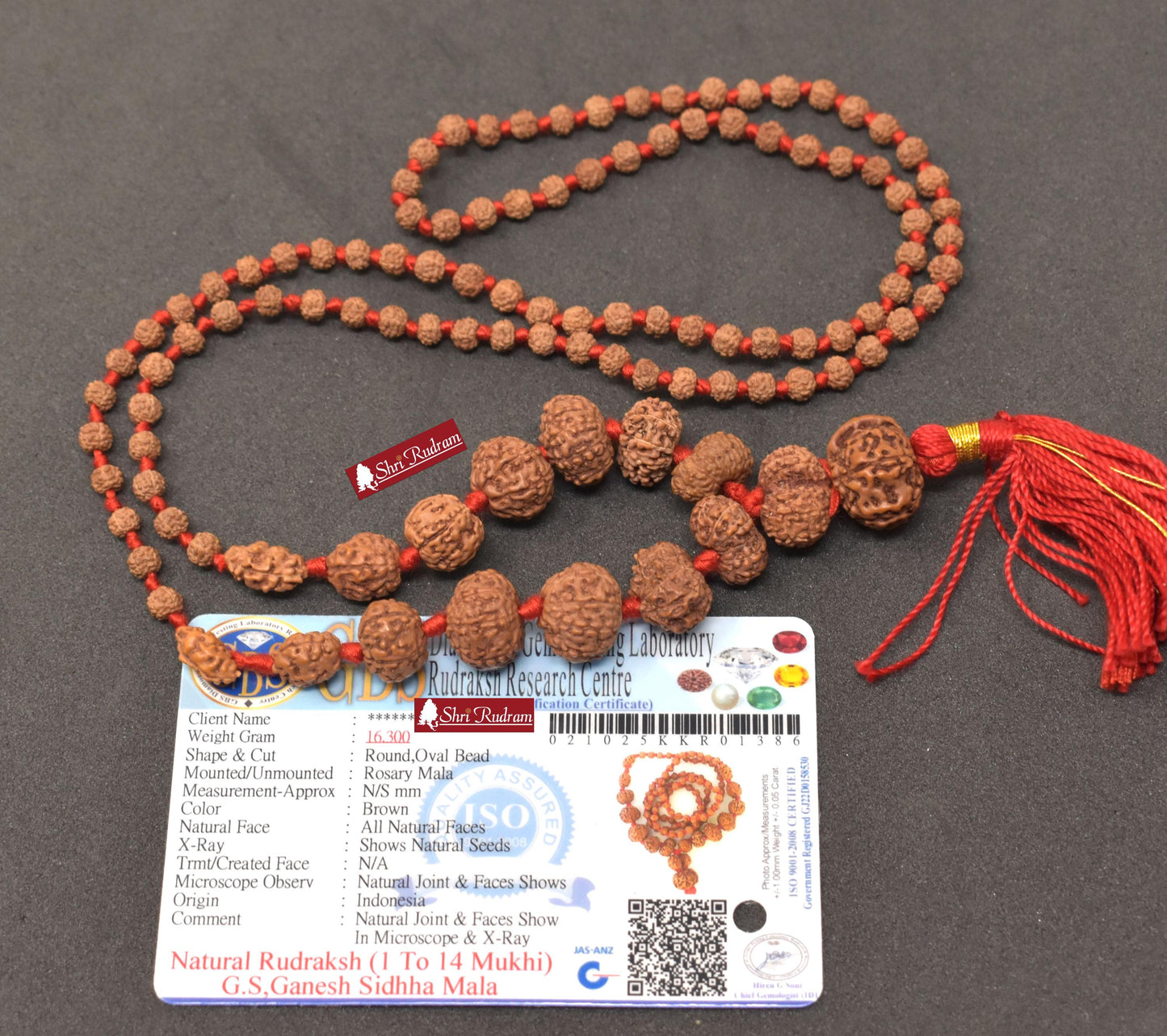 ShriRudram Siddha Mala - 1 to 14 Mukhi Rudraksha Beads With Gauri Shankar and Ganesh Rudraksha, Indonesian Beads Lab Certified D86
