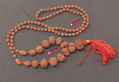 ShriRudram Siddha Mala - 1 to 14 Mukhi Rudraksha Beads With Gauri Shankar and Ganesh Rudraksha, Indonesian Beads Lab Certified D86