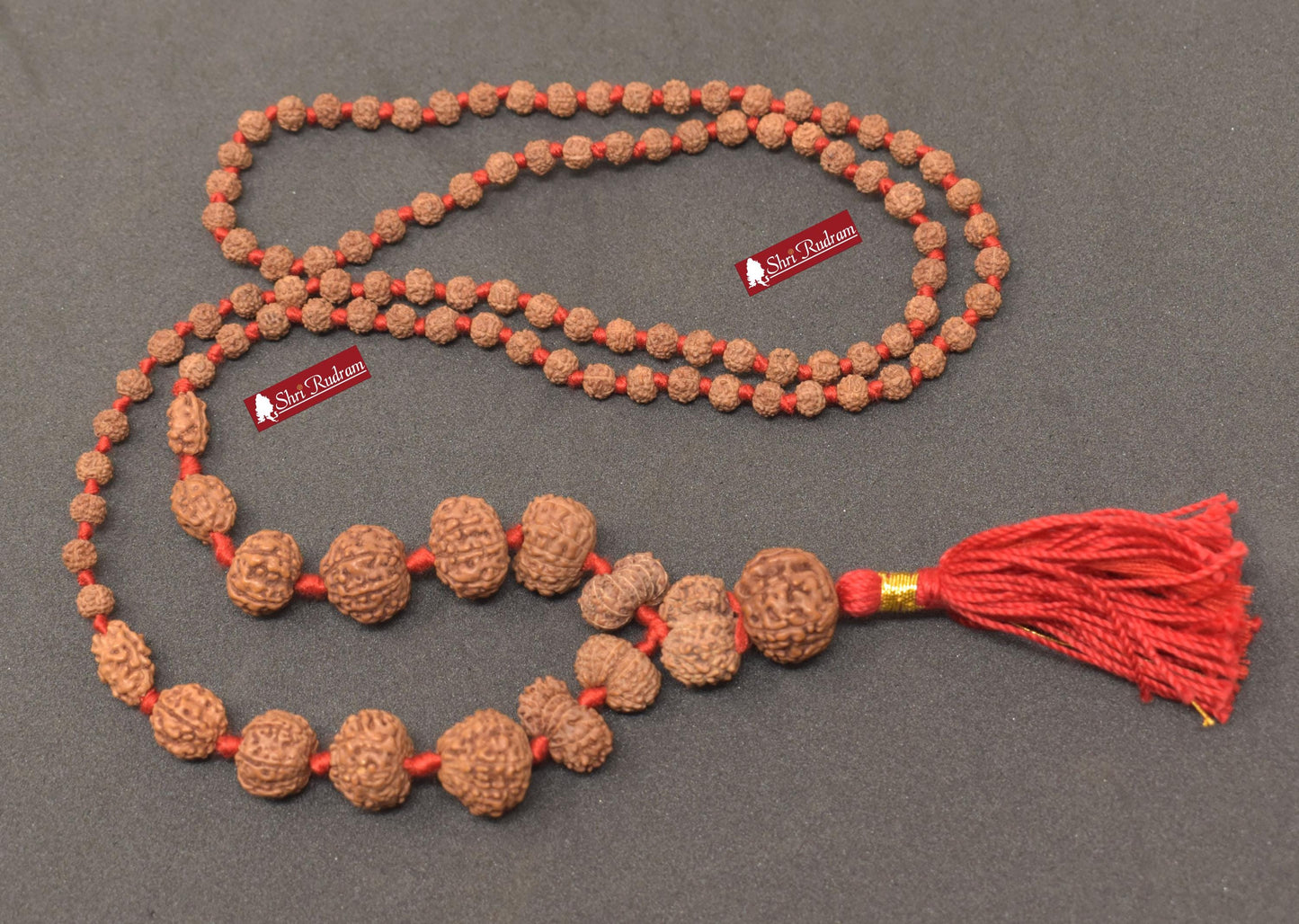 ShriRudram Siddha Mala - 1 to 14 Mukhi Rudraksha Beads With Gauri Shankar and Ganesh Rudraksha, Indonesian Beads Lab Certified D87