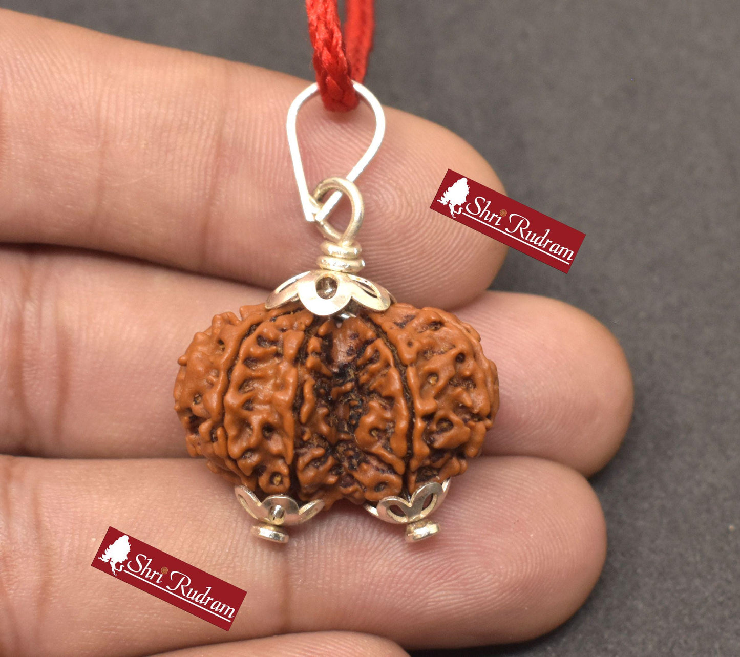 ShriRudram Gauri Shankar Rudraksha / Gouri Sankar Rudraksh Nepal Bead Lab Certified 26.12 MM