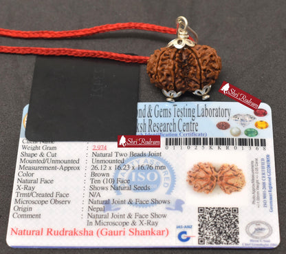 ShriRudram Gauri Shankar Rudraksha / Gouri Sankar Rudraksh Nepal Bead Lab Certified 26.12 MM