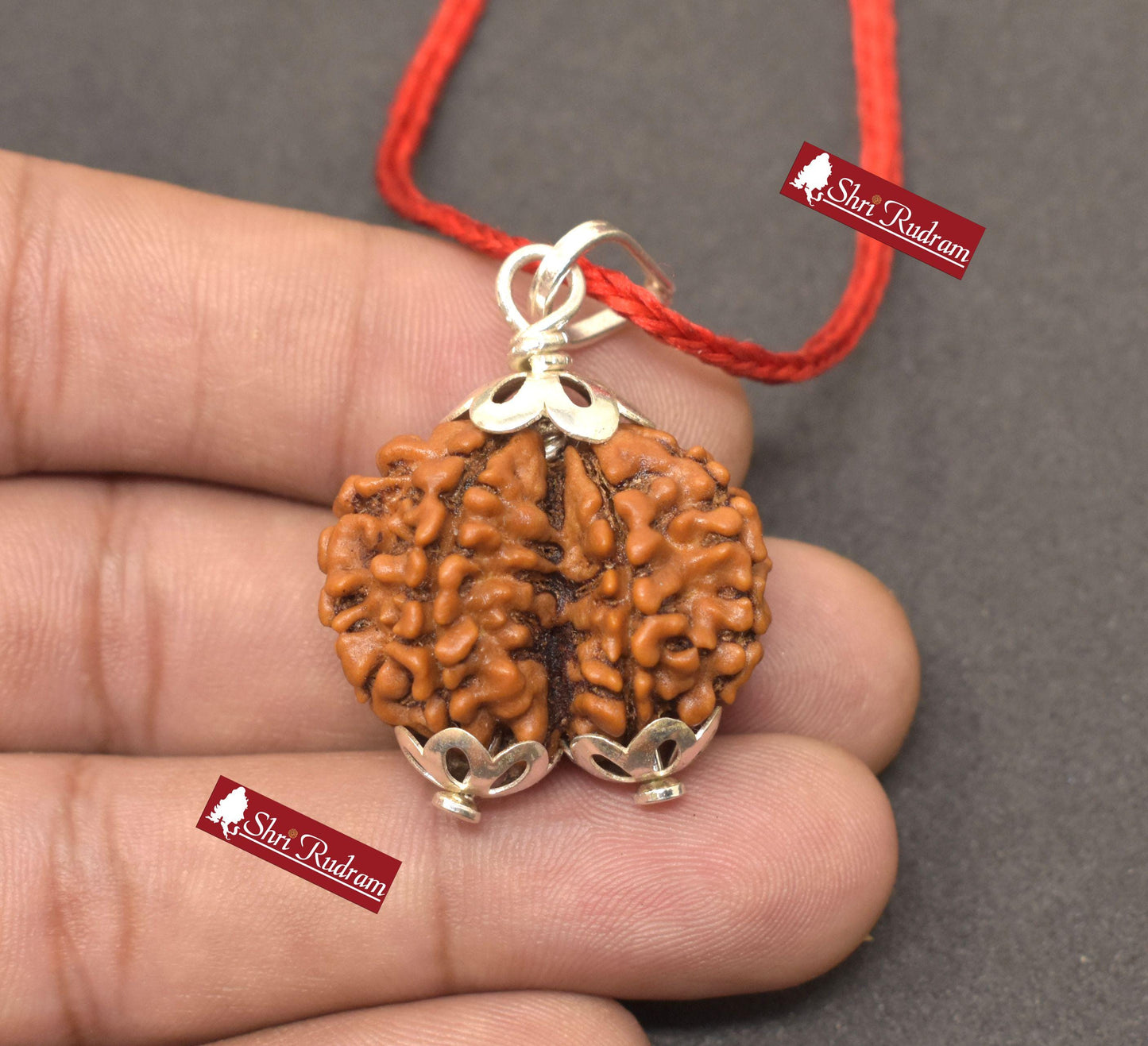ShriRudram Gauri Shankar Rudraksha / Gouri Sankar Rudraksh Nepal Bead Lab Certified 27.60 MM