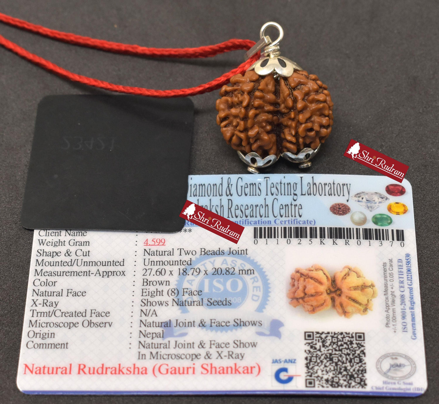 ShriRudram Gauri Shankar Rudraksha / Gouri Sankar Rudraksh Nepal Bead Lab Certified 27.60 MM